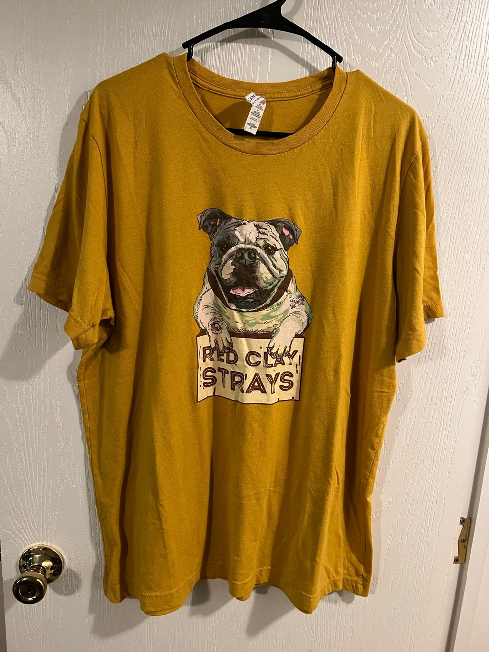 Red Clay Strays Band Graphic Tee